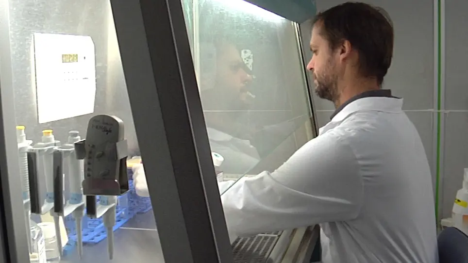 In Vitro Differentiation Model of Human Normal Memory B Cells to Long-lived Plasma Cells