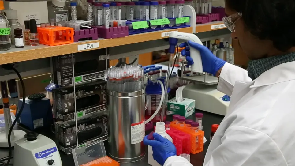 Detection of Protease Activity by Fluorescent Peptide Zymography