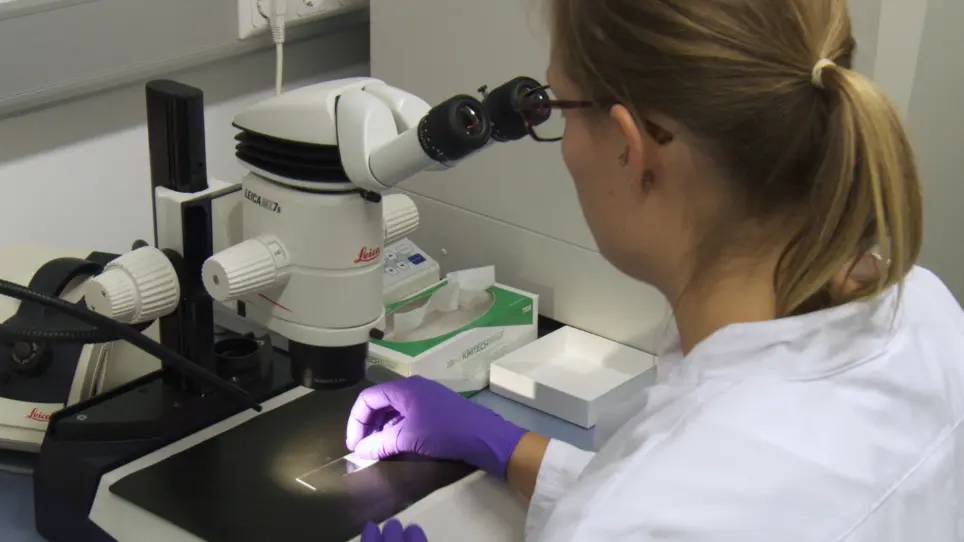 Quantifying the Heterogeneous Distribution of a Synaptic Protein in the Mouse Brain Using Immunofluorescence