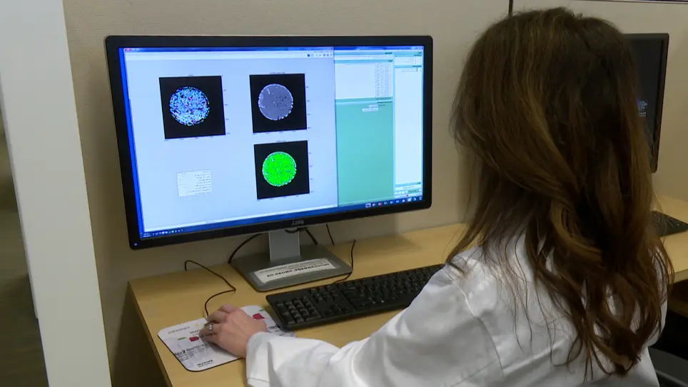 Using Microarrays to Interrogate Microenvironmental Impact on Cellular Phenotypes in Cancer