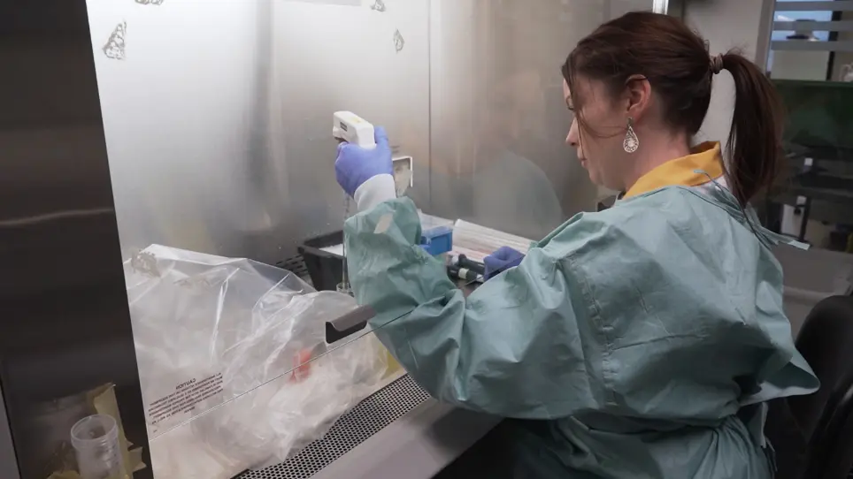 Production, Purification, and Quality Control for Adeno-associated Virus-based Vectors