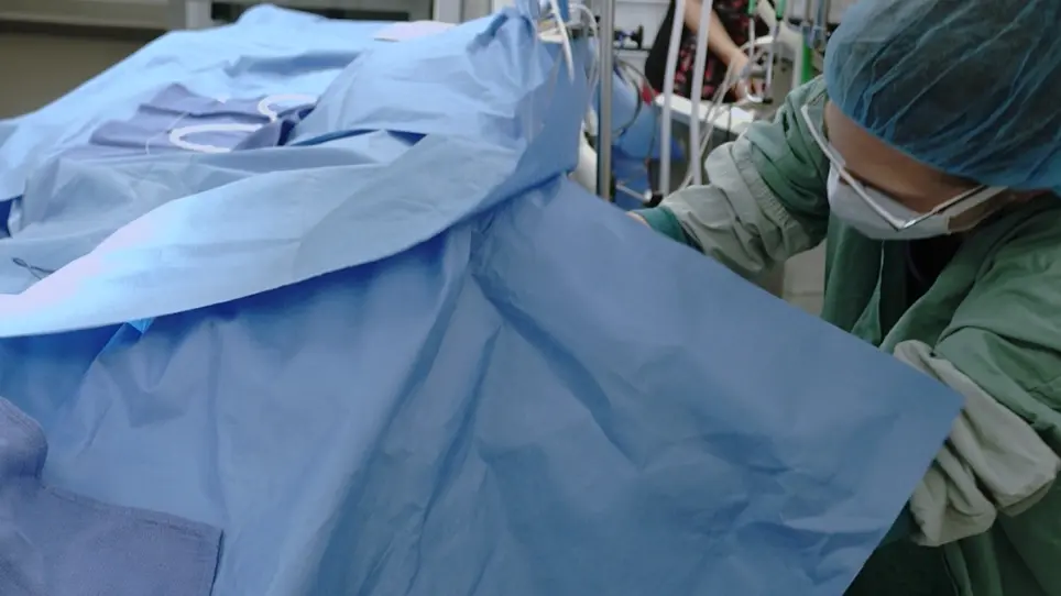 Preclinical Model of Hind Limb Ischemia in Diabetic Rabbits