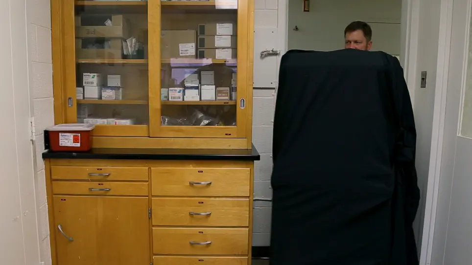 Activity-based Training on a Treadmill with Spinal Cord Injured Wistar Rats