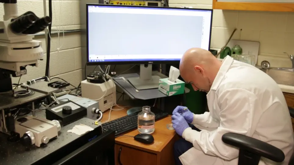 Applications of Spatio-temporal Mapping and Particle Analysis Techniques to Quantify Intracellular Ca<sup>2+</sup> Signaling In Situ