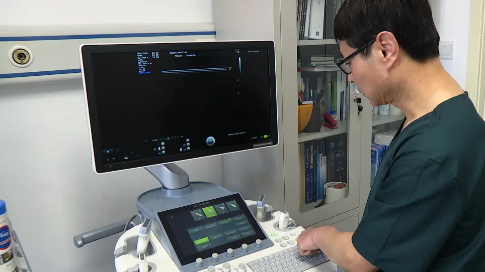 Protocol and Guidelines for Point-of-Care Lung Ultrasound in Diagnosing Neonatal Pulmonary Diseases Based on International Expert Consensus
