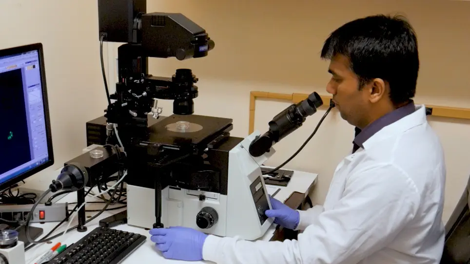 Alveolar Macrophage Phagocytosis and Bacteria Clearance in Mice