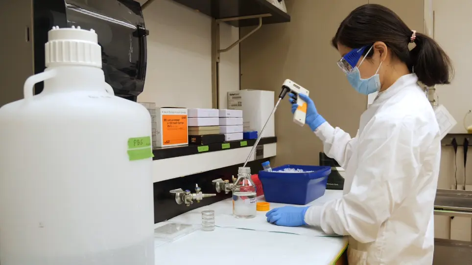 Tissue Preparation and Immunostaining of Mouse Craniofacial Tissues and Undecalcified Bone