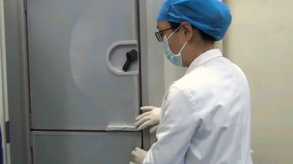 Modified Blood Collection from Tail Veins of Non-anesthetized Mice with a Vacuum Blood Collection System and Eyeglass Magnifier