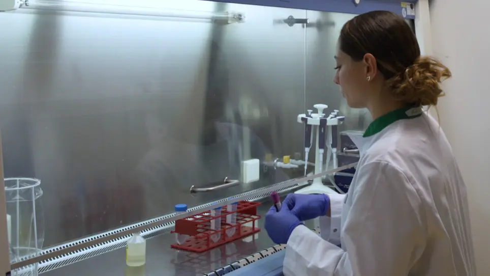 A High-throughput Assay to Assess and Quantify Neutrophil Extracellular Trap Formation