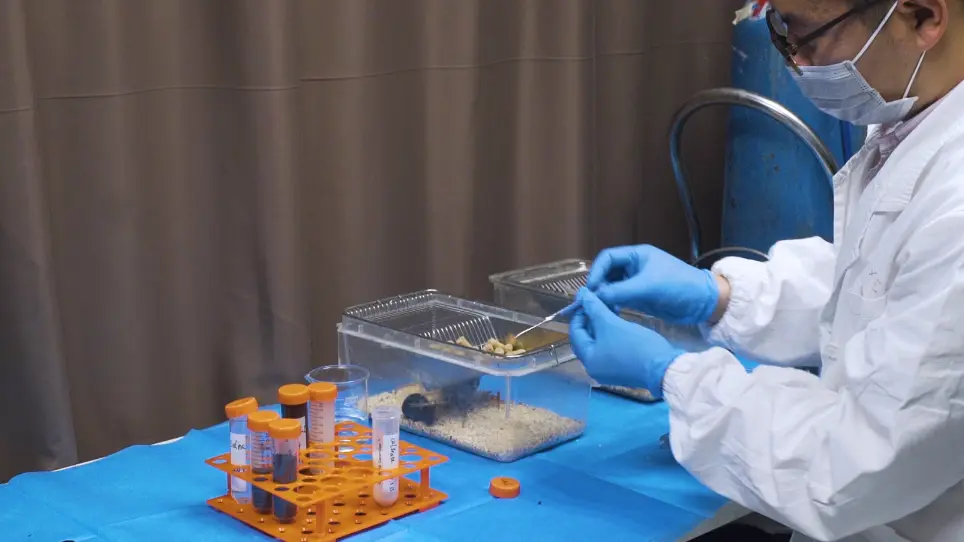 Preparation Of Gushukang (GSK) Granules for In Vivo and In Vitro Experiments