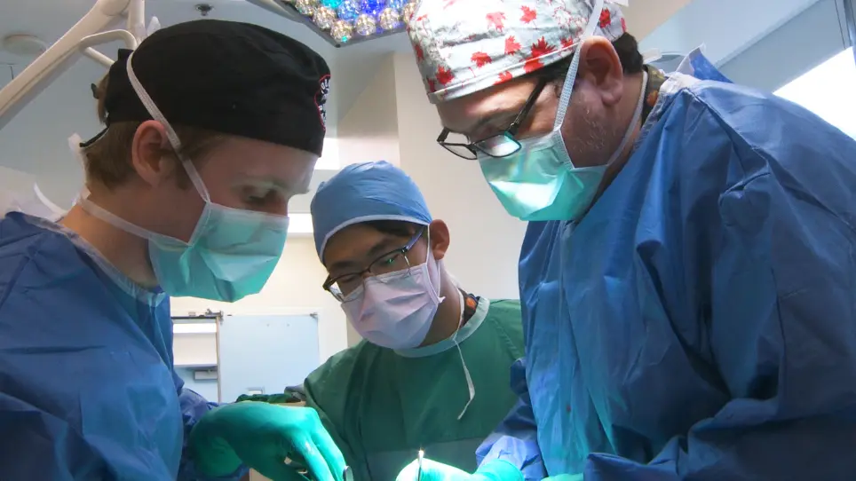 A Pre-Clinical Porcine Model of Orthotopic Heart Transplantation