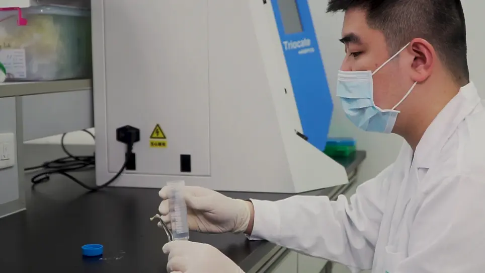 Three-Dimensional Bone Extracellular Matrix Model for Osteosarcoma