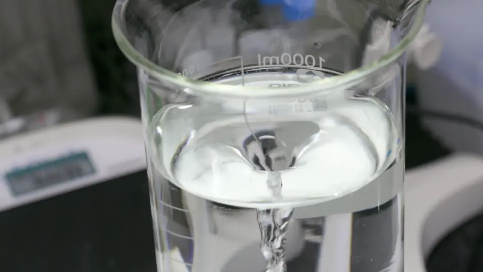 Purification of the Dendritic Filopodia-rich Fraction