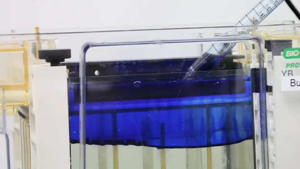 Hybrid Clear/Blue Native Electrophoresis for the Separation and Analysis of Mitochondrial Respiratory Chain Supercomplexes