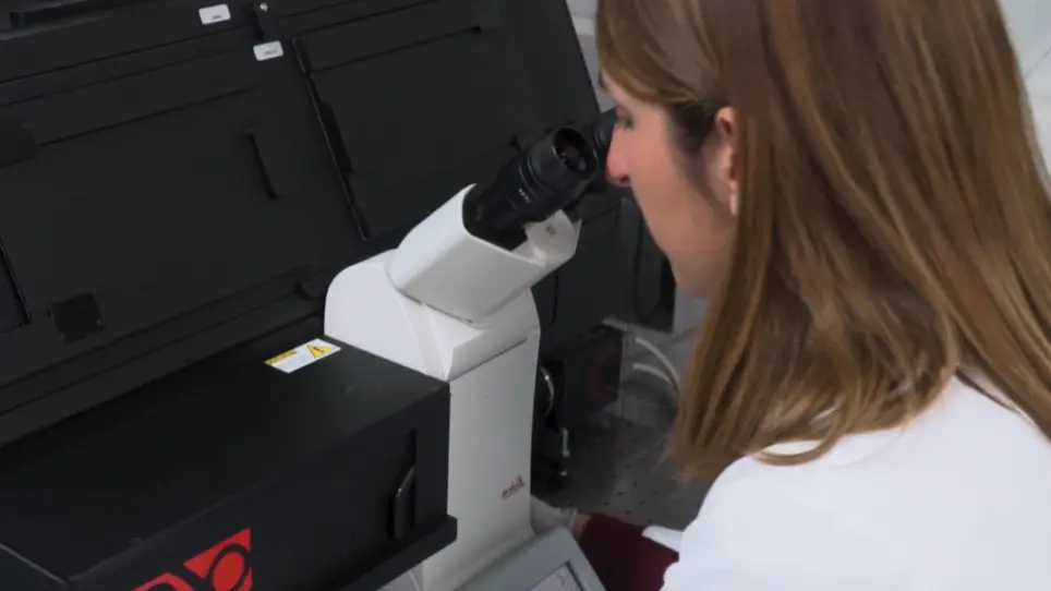 Image Processing Protocol for the Analysis of the Diffusion and Cluster Size of Membrane Receptors by Fluorescence Microscopy