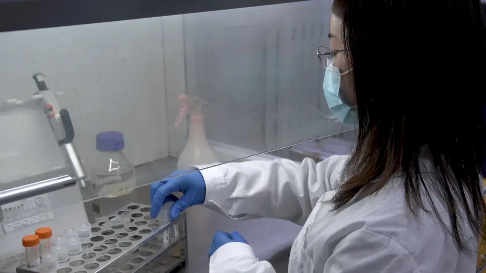 Identifying Amino Acid Overproducers Using Rare-Codon-Rich Markers