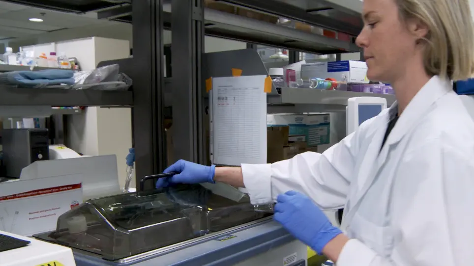 An Orthotopic Endometrial Cancer Model with Retroperitoneal Lymphadenopathy Made From In Vivo Propagated and Cultured VX2 Cells