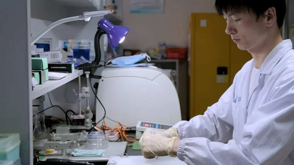 Investigating Alterations in Caecum Microbiota After Traumatic Brain Injury in Mice