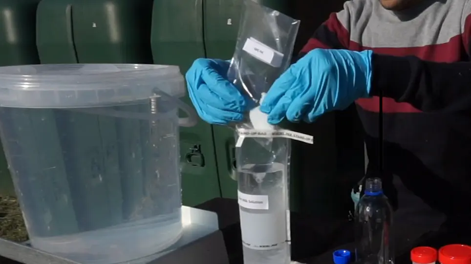 VirWaTest, A Point-of-Use Method for the Detection of Viruses in Water Samples