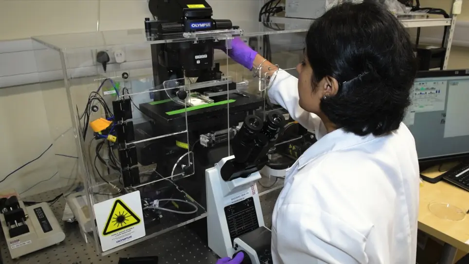 High-resolution Imaging of Nuclear Dynamics in Live Cells under Uniaxial Tensile Strain
