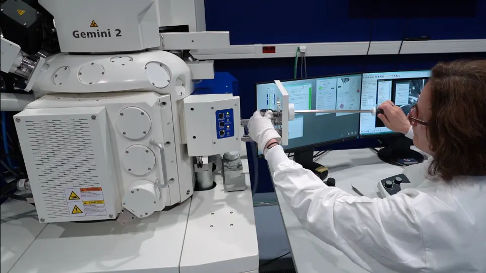 Targeted Studies Using Serial Block Face and Focused Ion Beam Scan Electron Microscopy