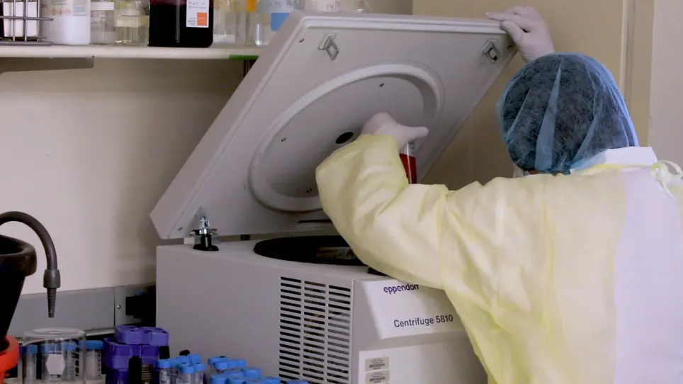 A Melanoma Patient-Derived Xenograft Model