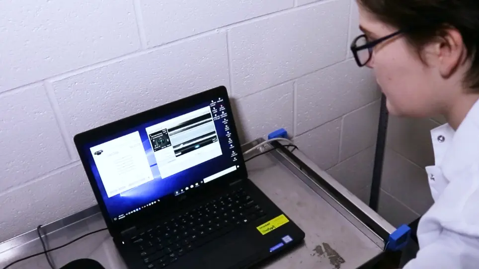 Paw-Print Analysis of Contrast-Enhanced Recordings (PrAnCER): A Low-Cost, Open-Access Automated Gait Analysis System for Assessing Motor Deficits