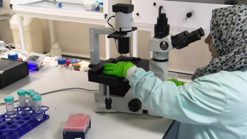 Fabrication of Amyloid-β-Secreting Alginate Microbeads for Use in Modelling Alzheimer's Disease
