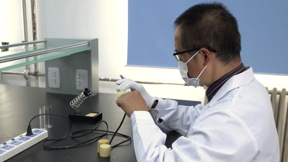 Simple Homemade Tools to Handle Fruit Flies—<em>Drosophila melanogaster</em>