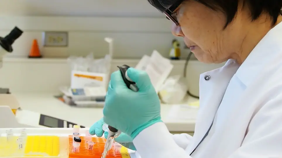 Translating Ribosome Affinity Purification (TRAP) for RNA Isolation from Endothelial Cells In Vivo