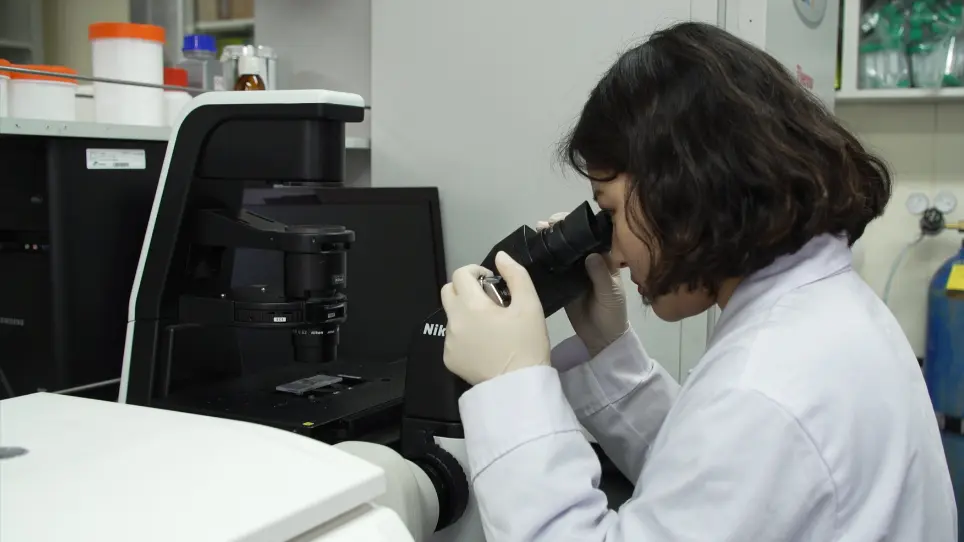 An In Vitro Protocol for Evaluating MicroRNA Levels, Functions, and Associated Target Genes in Tumor Cells