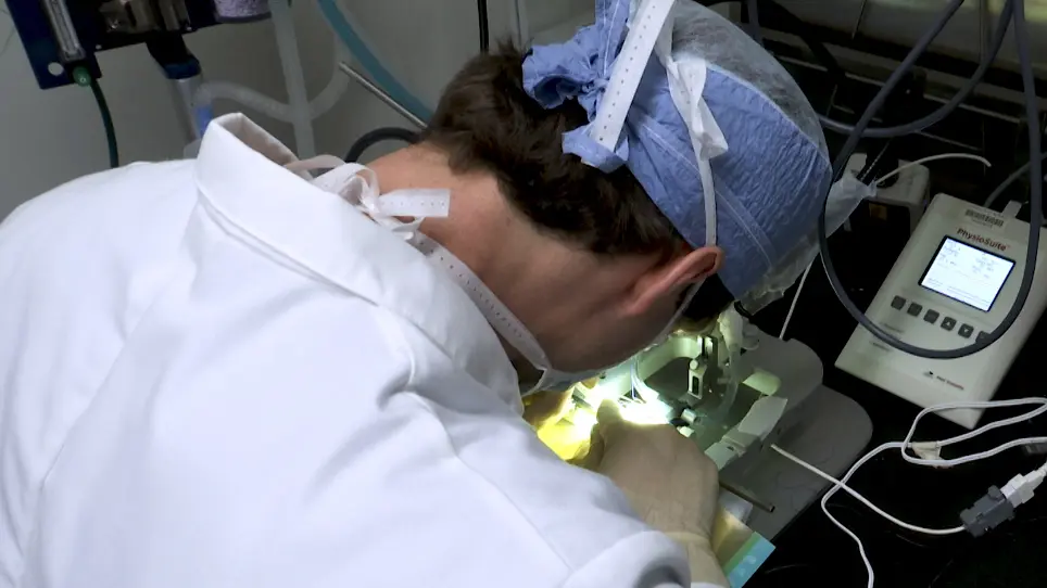Use of a Wireless Video-EEG System to Monitor Epileptiform Discharges Following Lateral Fluid-Percussion Induced Traumatic Brain Injury
