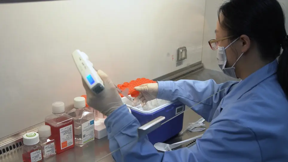 A Human Peripheral Blood Mononuclear Cell (PBMC) Engrafted Humanized Xenograft Model for Translational Immuno-oncology (I-O) Research