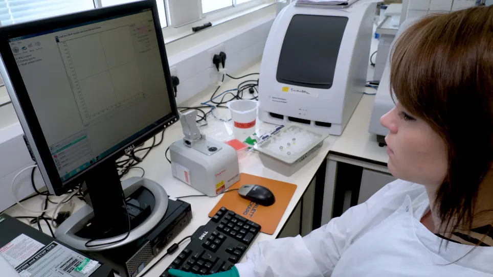 Pan-lyssavirus Real Time RT-PCR for Rabies Diagnosis