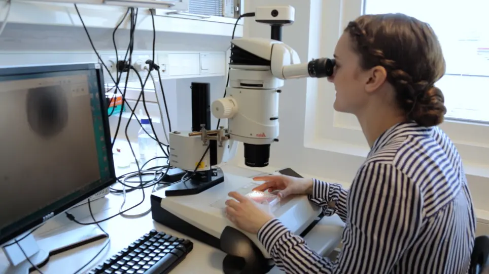 Assessing Cell Viability and Death in 3D Spheroid Cultures of Cancer Cells