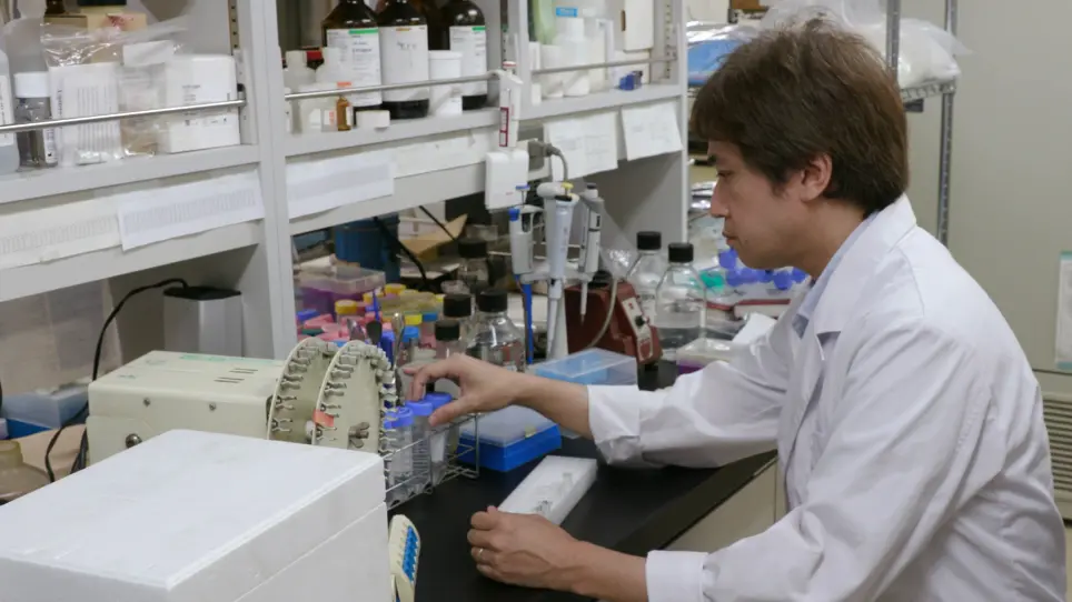 Evaluation of Protein–Protein Interactions using an On-Membrane Digestion Technique