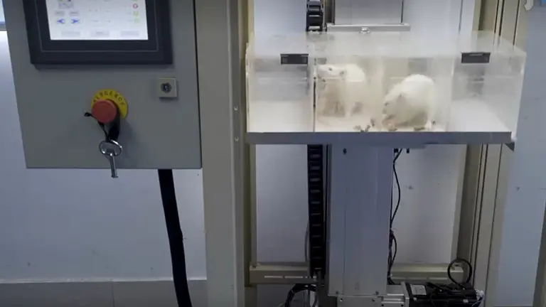 Assessing the Autonomic and Behavioral Effects of Passive Motion in Rats using Elevator Vertical Motion and Ferris-Wheel Rotation