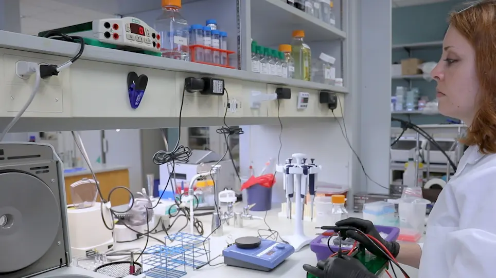 Antibody-Free Assay for RNA Methyltransferase Activity Analysis