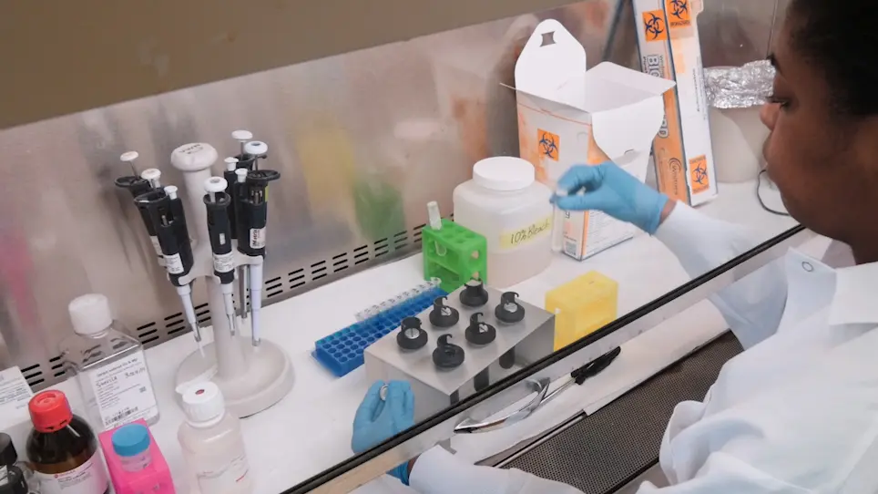 Purification of High Yield Extracellular Vesicle Preparations Away from Virus