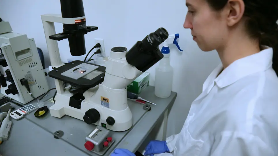 Induced Differentiation of M Cell-like Cells in Human Stem Cell-derived Ileal Enteroid Monolayers