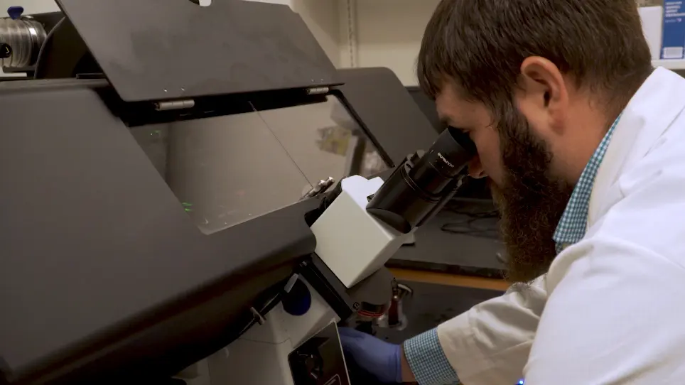 Live-Cell Fluorescence Microscopy to Investigate Subcellular Protein Localization and Cell Morphology Changes in Bacteria