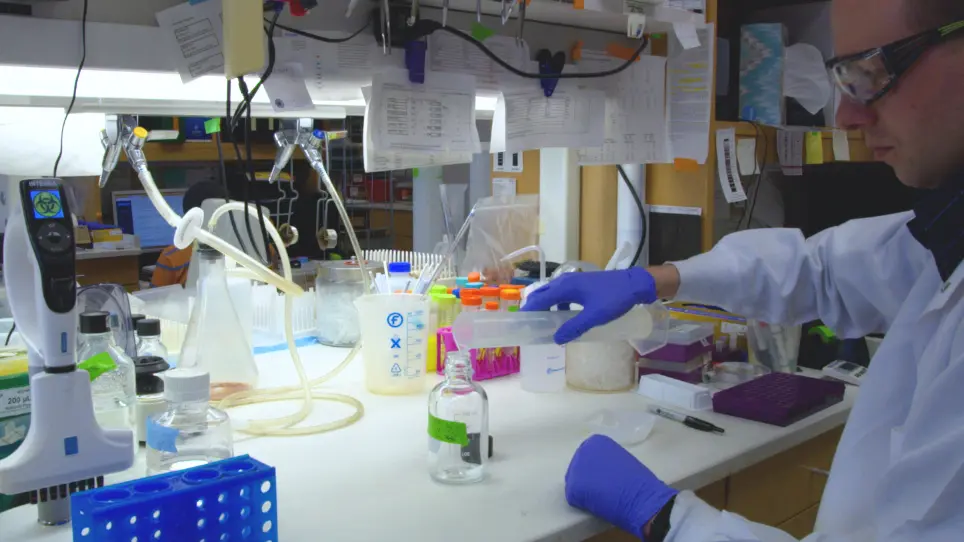 Measuring Relative Insulin Secretion using a Co-Secreted Luciferase Surrogate