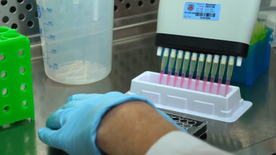 Measuring Proliferation of Vascular Smooth Muscle Cells Using Click Chemistry