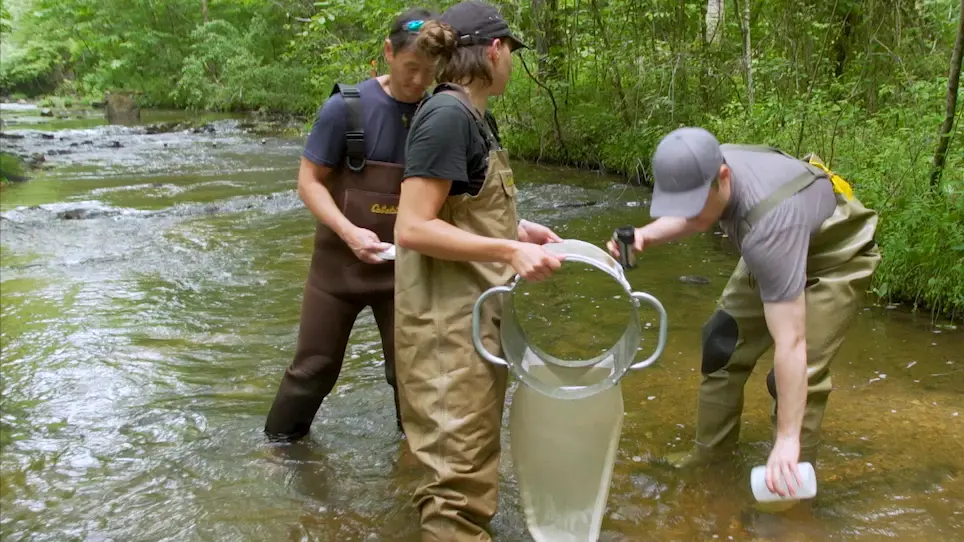 Modeling the Size Spectrum for Macroinvertebrates and Fishes in Stream Ecosystems