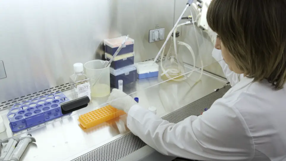 Isolation, Transfection, and Culture of Primary Human Monocytes