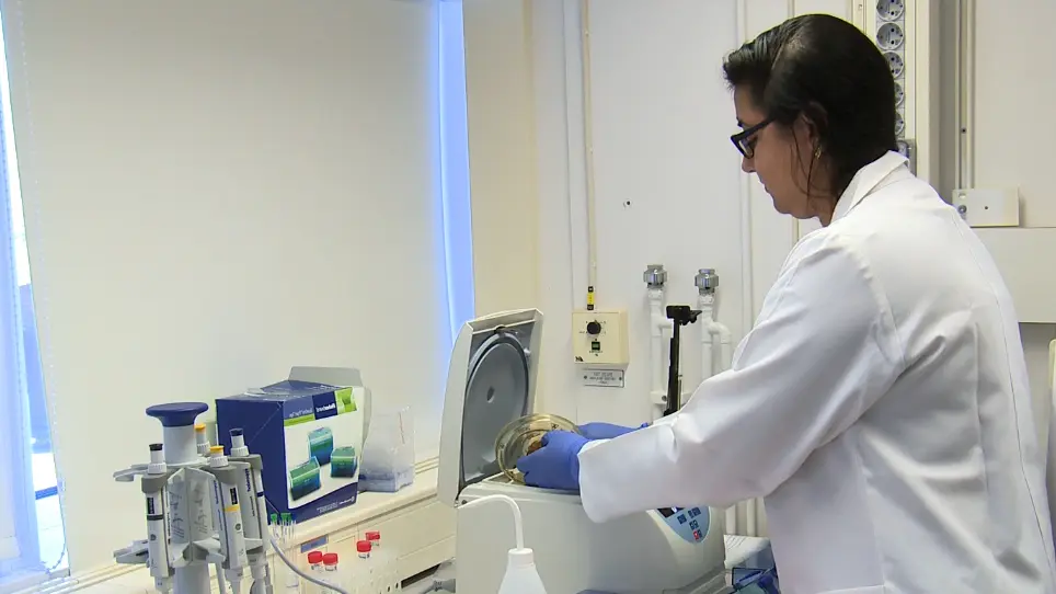 Kinetic Screening of Nuclease Activity using Nucleic Acid Probes