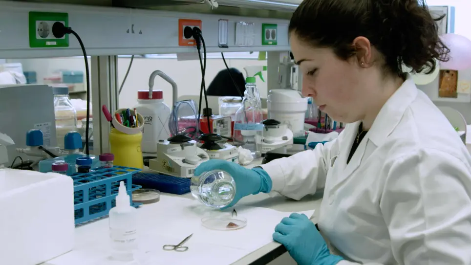 A High-Throughput In Situ Method for Estimation of Hepatocyte Nuclear Ploidy in Mice