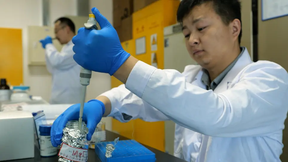 Immunoglobulin G N-Glycan Analysis by Ultra-Performance Liquid Chromatography