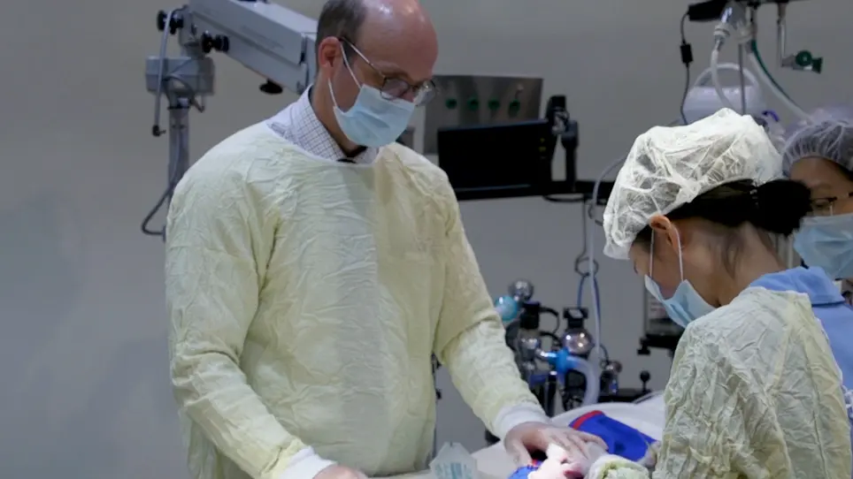 Establishment of a Severe Dry Eye Model Using Complete Dacryoadenectomy in Rabbits