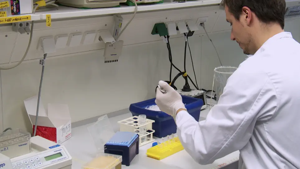 Highly Efficient Transfection of Primary Macrophages with In Vitro Transcribed mRNA